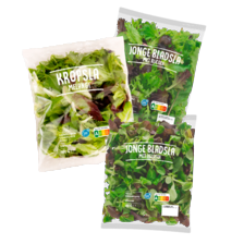 Kropsla-, krulsla- of eikenbladslamelange,
jonge bladsla met veldsla of met rucola